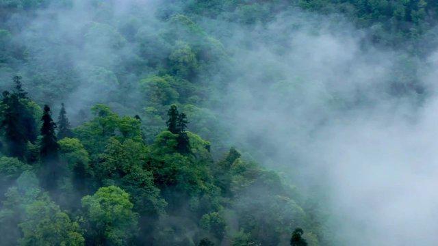 美国客机遭遇枪击事件：机身被穿，飞行安全引深思